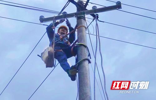 国网双峰县供电公司 有一种电力情怀叫 再爬一次电杆